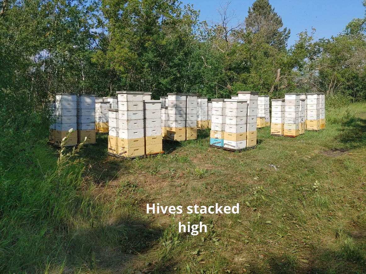 2021 Season photo 44